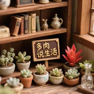 多肉说生活 头像