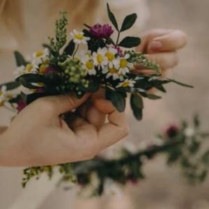 放飞自我的鸟cg 头像