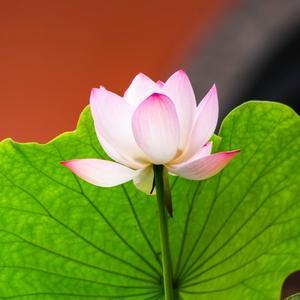 寒冰159270422