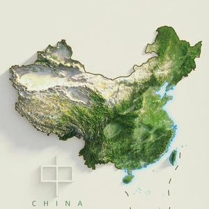 小隼看世界 头像