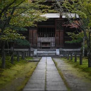 自然小调工作室 头像