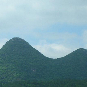 佩奇爱写作 头像