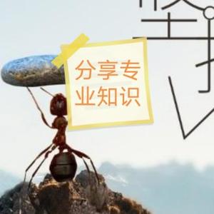 世时中寻找宁静 头像