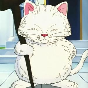 躺平猫仙人 头像