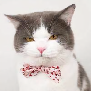 娱乐盘点餐 头像