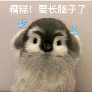 流量卡推荐袁 头像