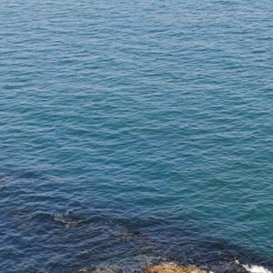 今天开始做娱乐博主 头像