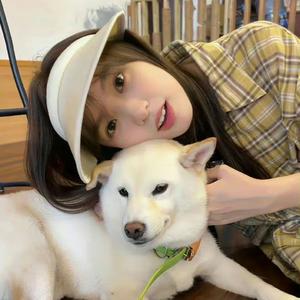 歪歪小书房 头像