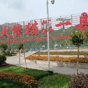 随心liwancheng 头像