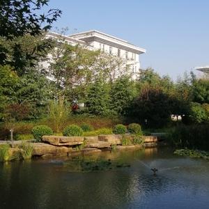 仁者自在2116 头像