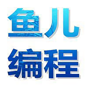 鱼儿编程 头像