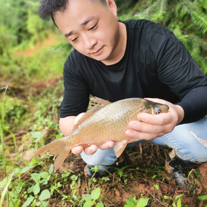 淡泊的书签1L7 头像