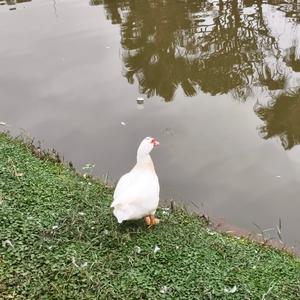 左岸向右 头像