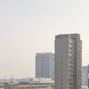 JP牧羊 头像