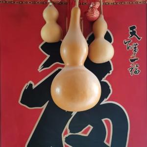 流年似火追风 头像