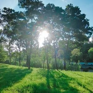 到处十枝五枝花 头像