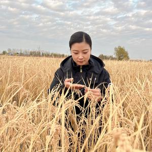 小雪小亮记录生活头像