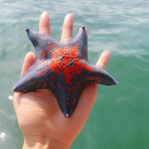 吃香菜的妞 头像