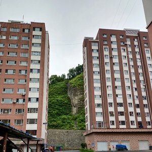 东北华子影视 头像