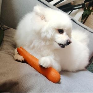 小晴天kkii 头像