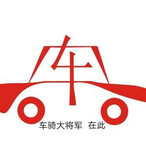 車骑大将军头像