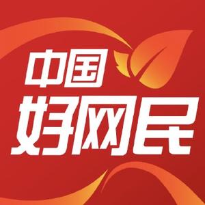 中国好网民头像