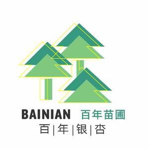 百年银杏苗木 头像