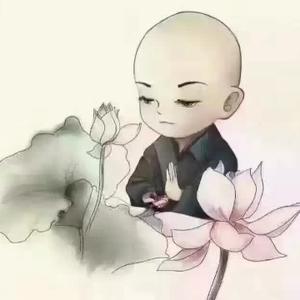 每日星图站 头像