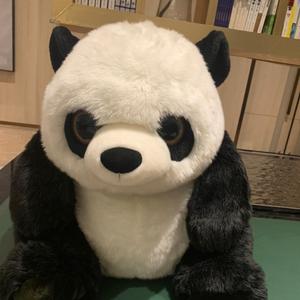 爱吃大愚的瞎 头像