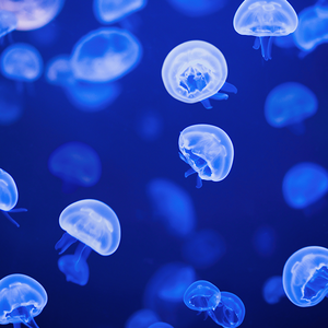 认真火车0q9 头像