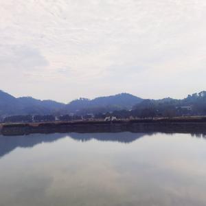 乐观的风2023 头像