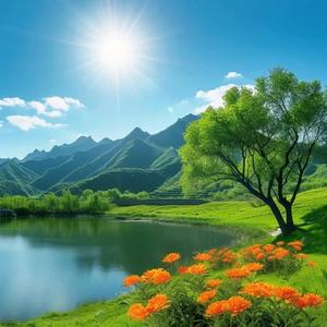 陈雪爱讲事 头像