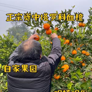 小李资中塔罗科血橙头像