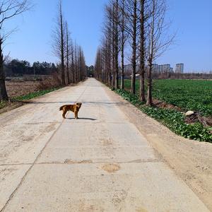 柚子奇闻科普 头像