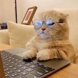 爱码字的苏俏 头像