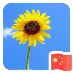 我心飞翔136586229