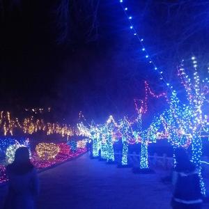 小马哥55887 头像