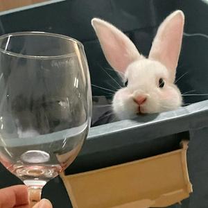 沐鱼籽手作 头像