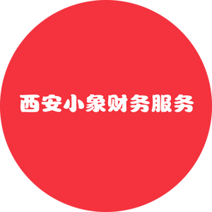西安小象财务注册公司 头像