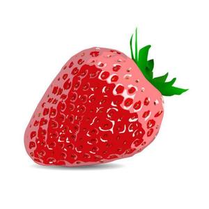 植物研究所 头像