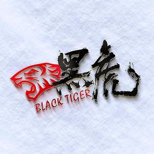 黑虎掘金圈主号 头像