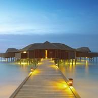 吐司加游戏 头像