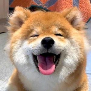 上进艾丽森8o3t 头像