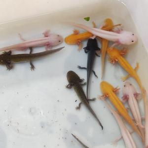 你听风声我看云起 头像