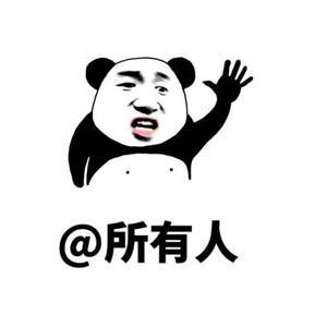 海哥来了219 头像