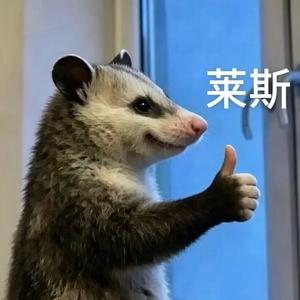 丸丸表情包 头像