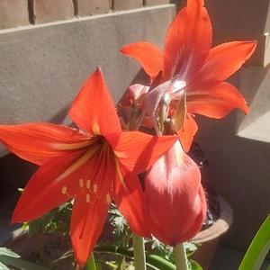 樱桃姐爱读书 头像