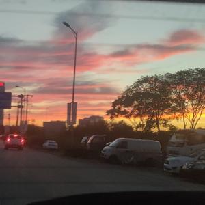 自由的白云hy 头像