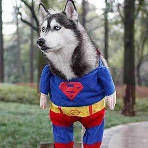 职业八卦选手 头像