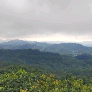 看太阳升起11 头像